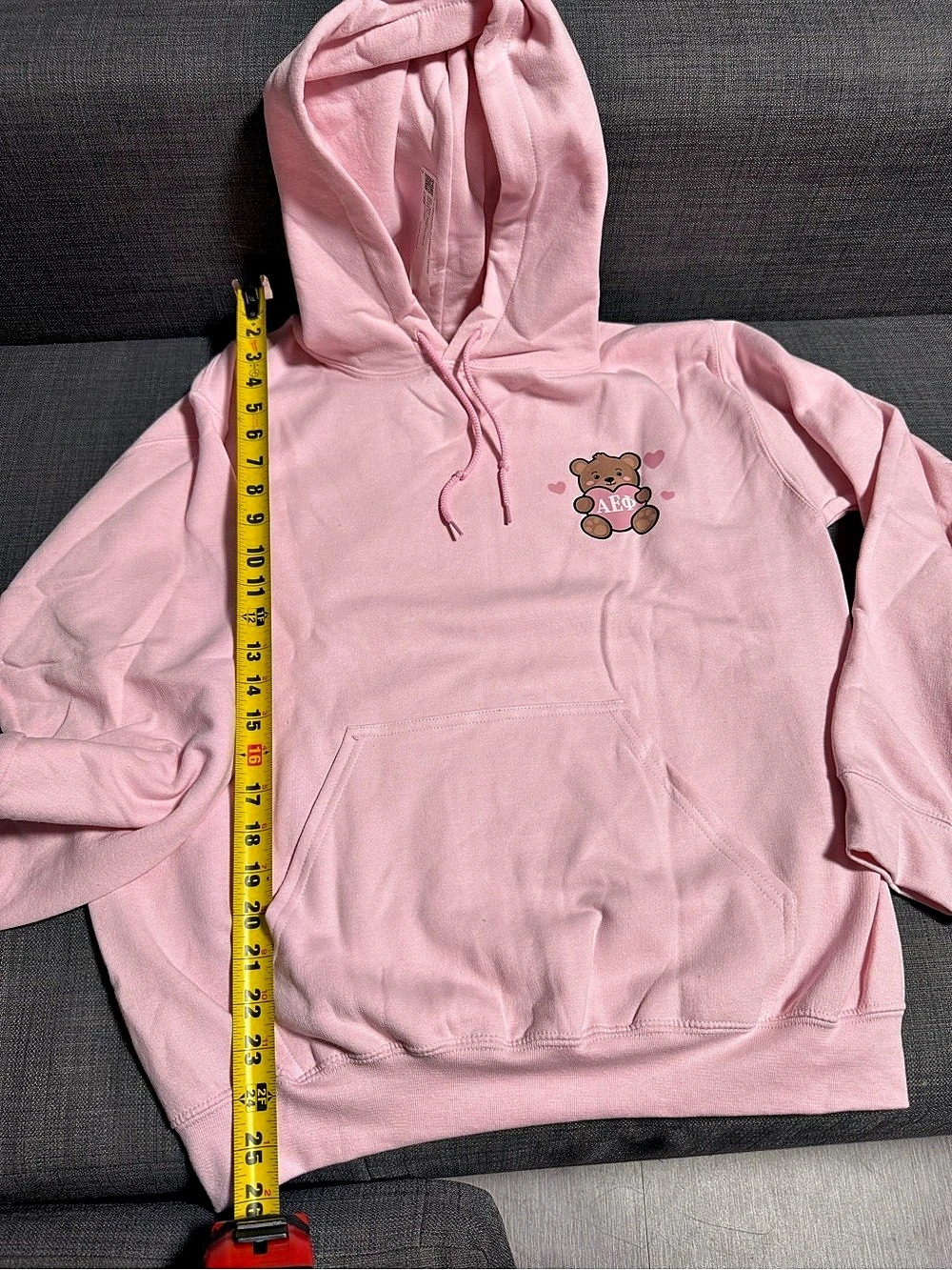 NWT AEPHI Pink Bear Graphic Hoodie